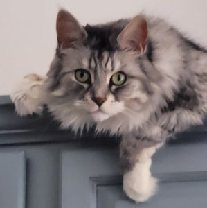 Meet your Posher, Mary